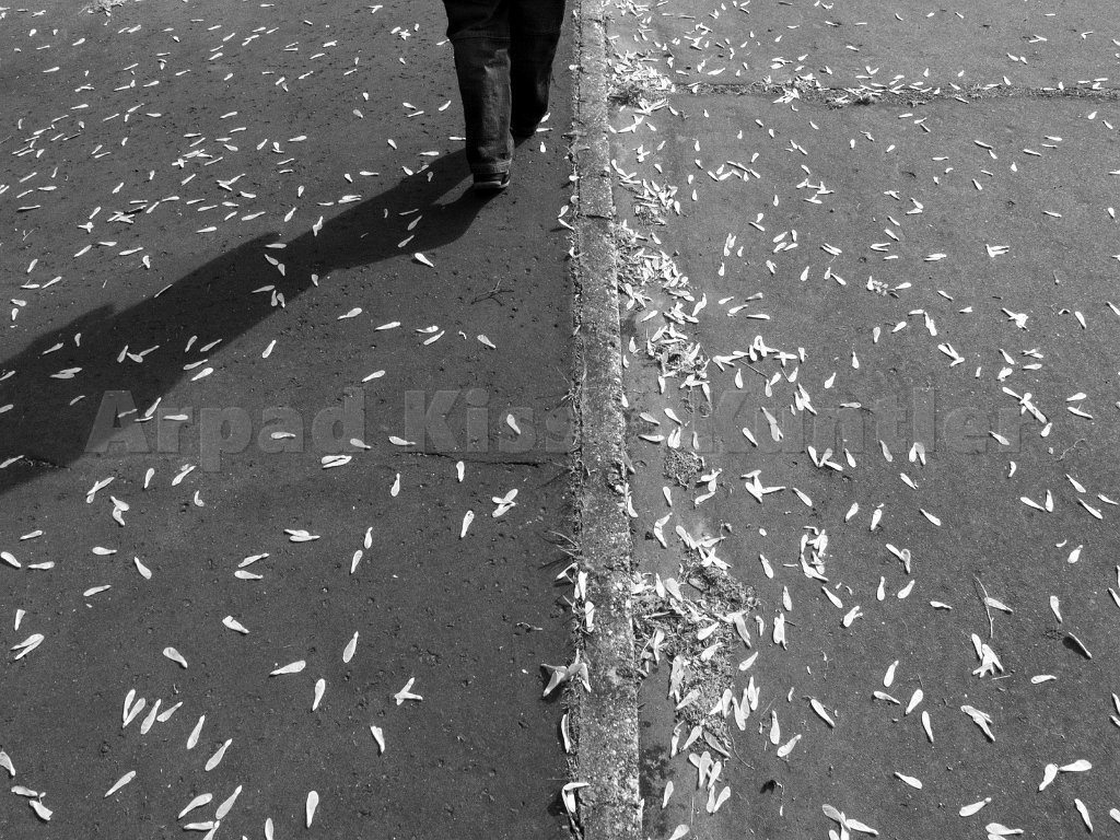 P1060462 resize