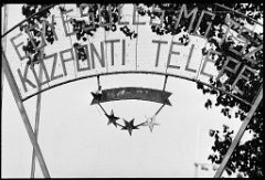 Csillagok - MGTSZ firma - 1988-00-03j_resize.jpg