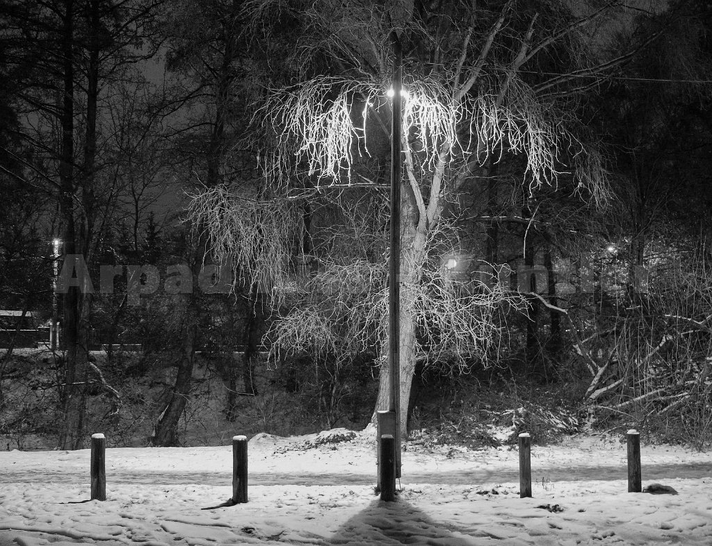 P1180489jffkorr resize