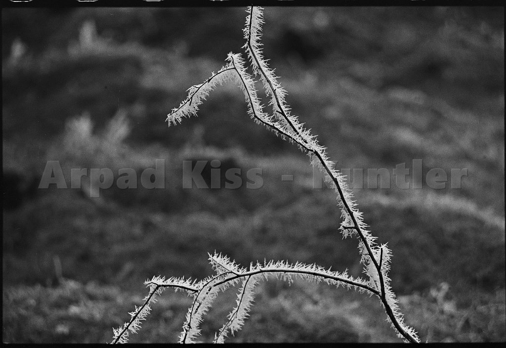kka-8911100007korr resize