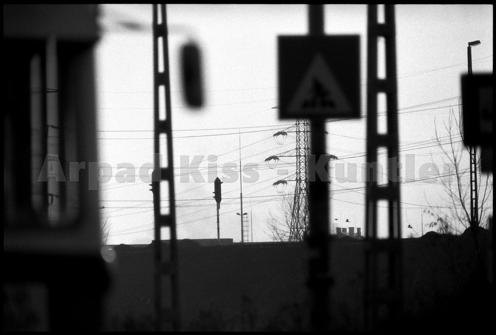 00312 resize