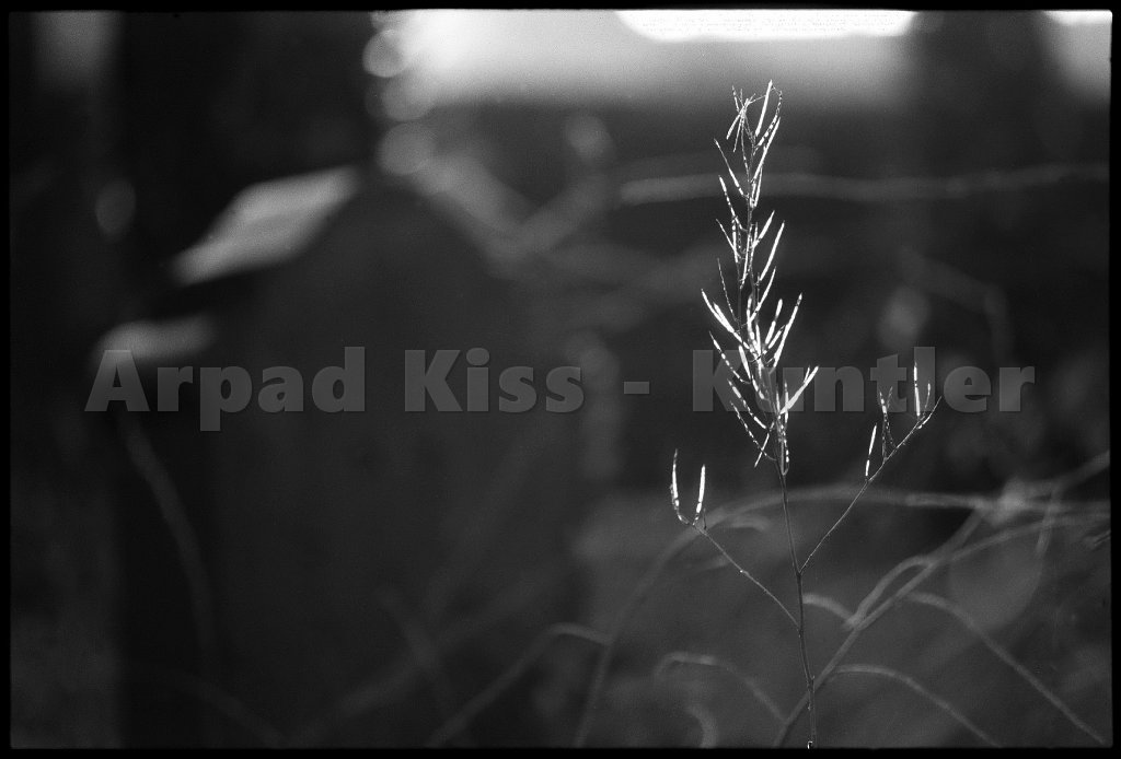 0121 resize
