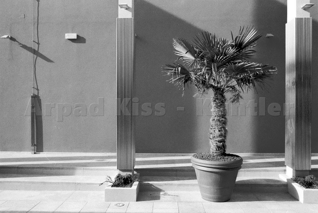 KKA01221 resize